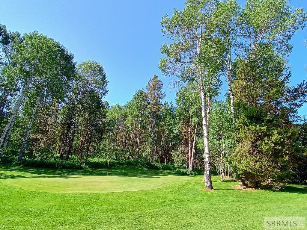 1355 Timber Line Road Ashton, ID 83420 - Photo 1 of 1 Main View