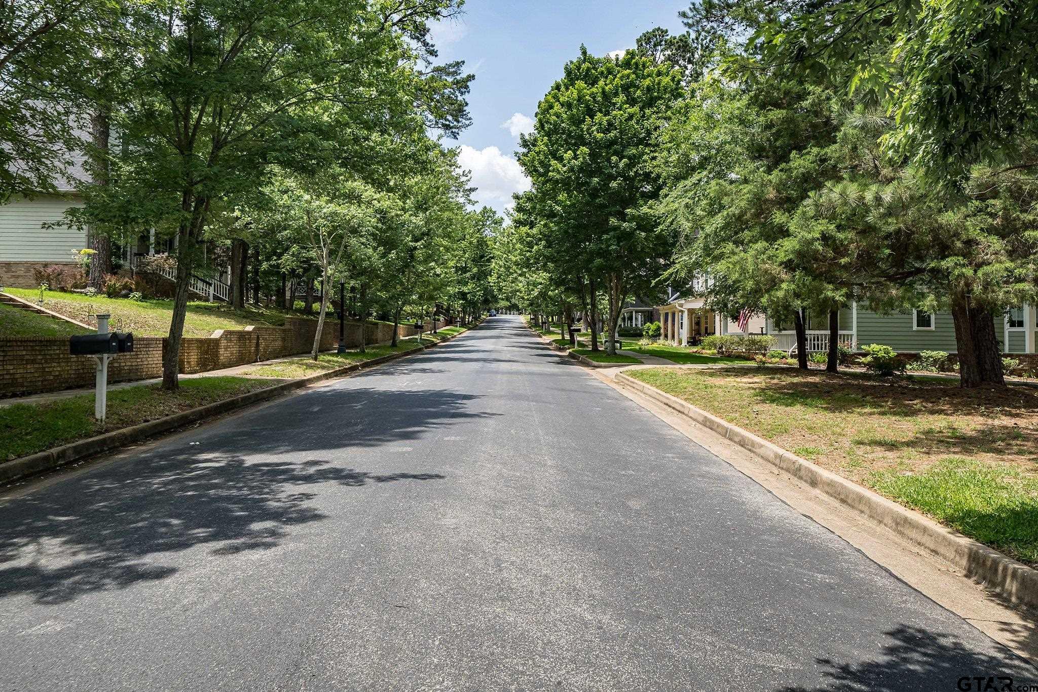 4028 Hanover Place Tyler, TX 75701 - Photo 3 of 16 a view of a street with a yard