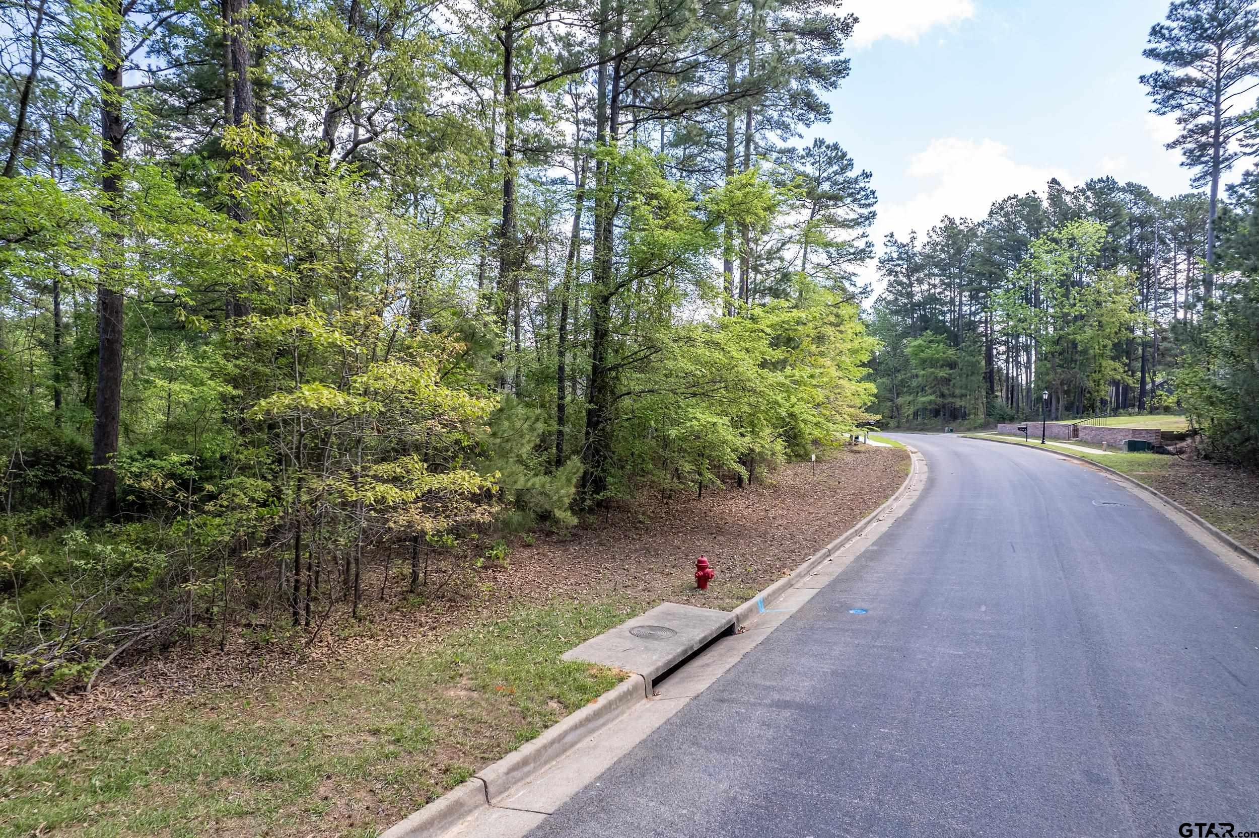 4028 Hanover Place Tyler, TX 75701 - Photo 8 of 16 a view of a road with a yard