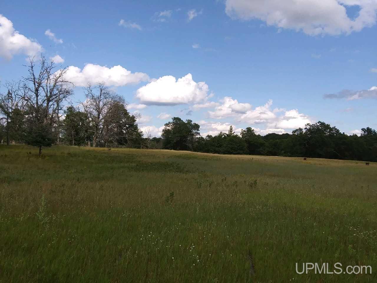 4 & 5 Road Norway, MI 49870 - Photo 2 of 4