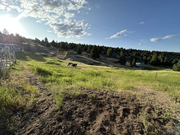 $380,000 | 27028 Adam Road, Canyon City, OR 97820