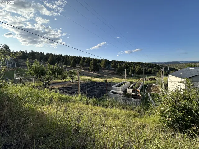 $380,000 | 27028 Adam Road, Canyon City, OR 97820