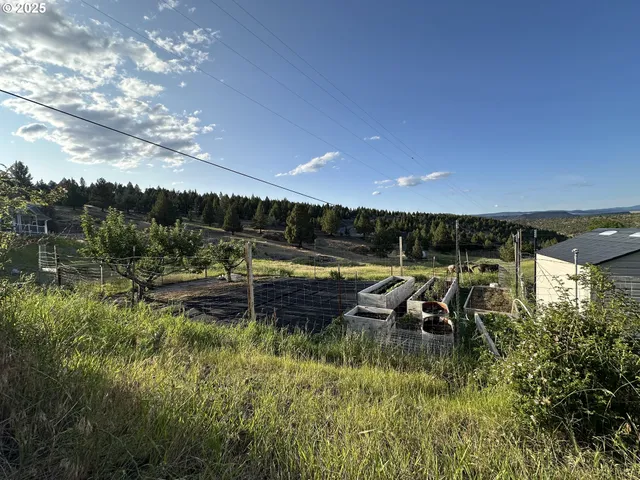 $380,000 | 27028 Adam Road, Canyon City, OR 97820