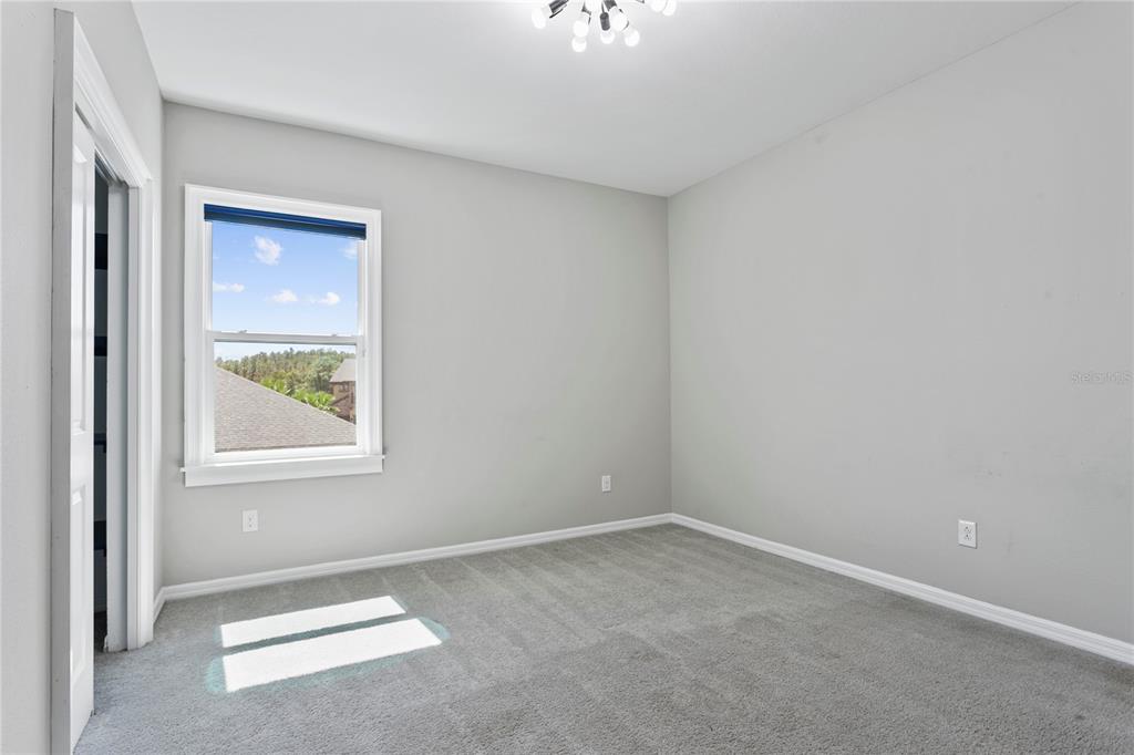 1221 Montgomery Bell Road Wesley Chapel, FL 33543 - Photo 26 of 32