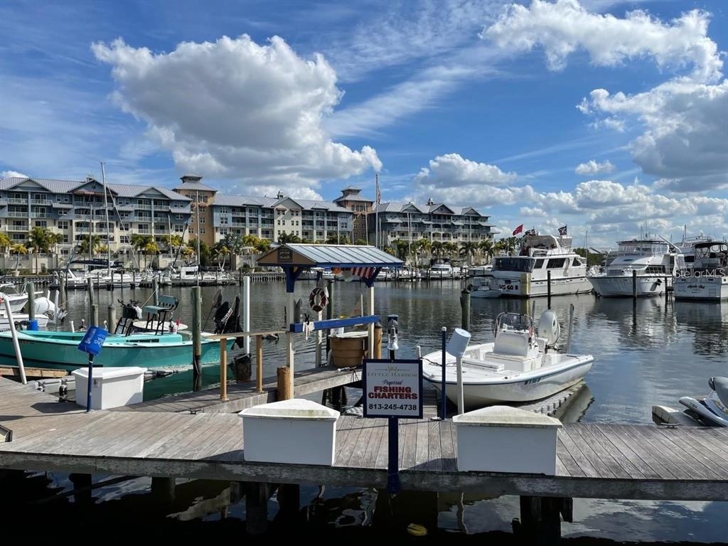 550 Calico Scallop Street Ruskin, FL 33570 - Photo 22 of 36