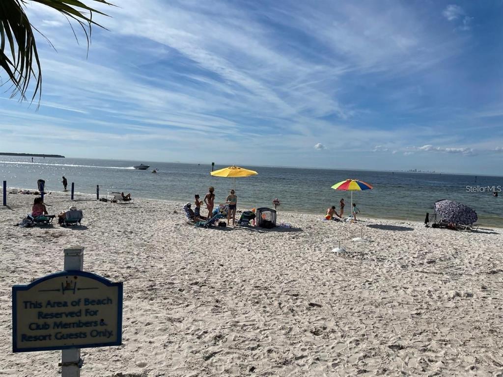 550 Calico Scallop Street Ruskin, FL 33570 - Photo 25 of 36