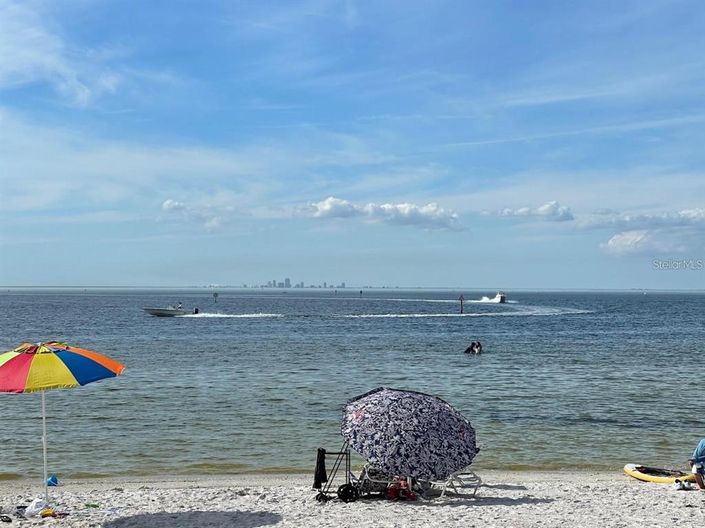 550 Calico Scallop Street Ruskin, FL 33570 - Photo 27 of 36