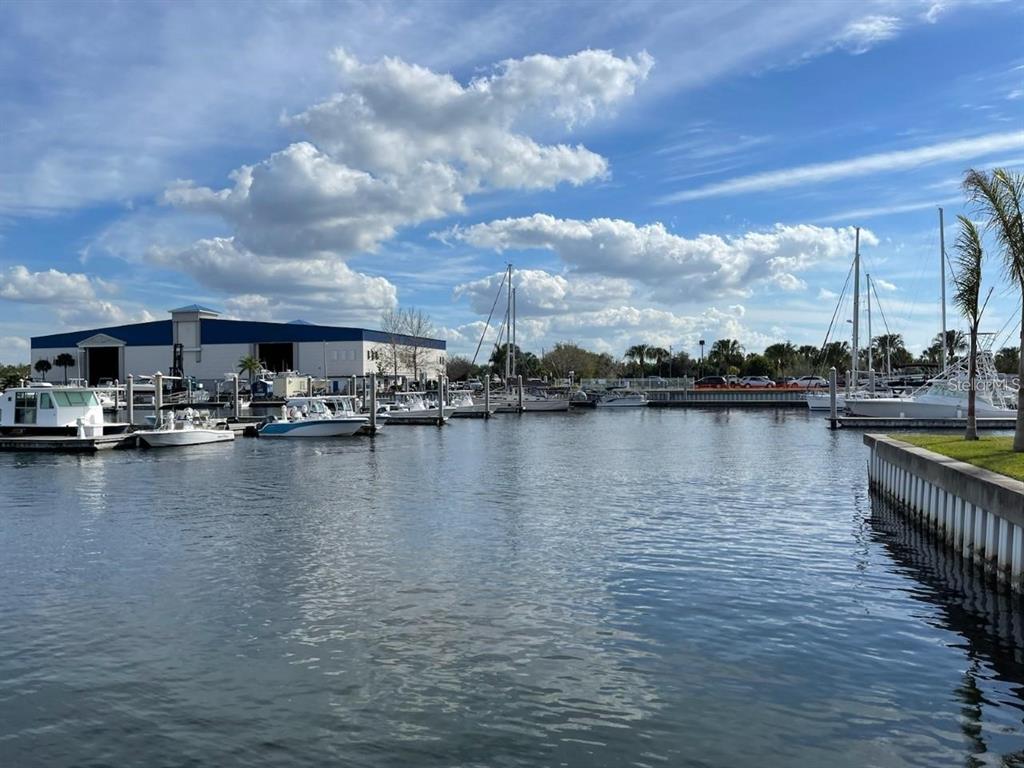 550 Calico Scallop Street Ruskin, FL 33570 - Photo 29 of 36