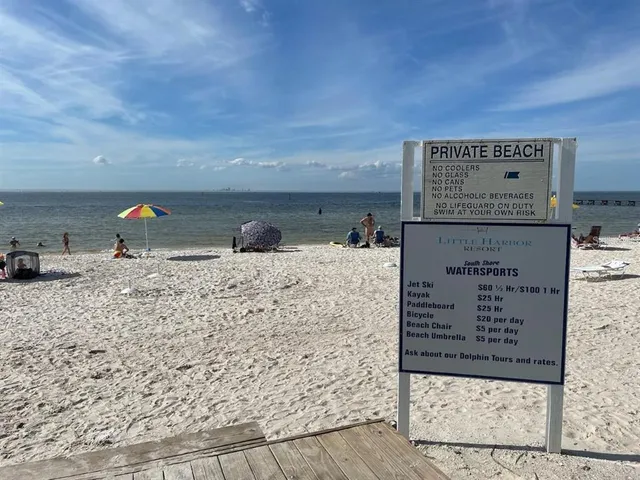 a view of a swimming pool with lawn chairs and plants