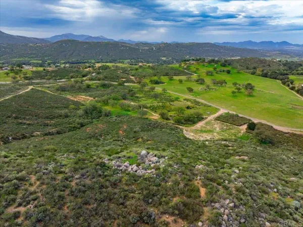 a view of a lush green field