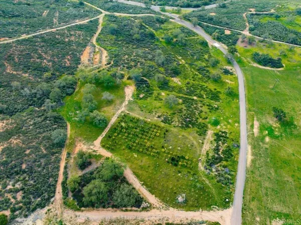 a view of a yard with plants