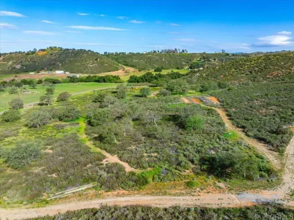 a view of a lush green field