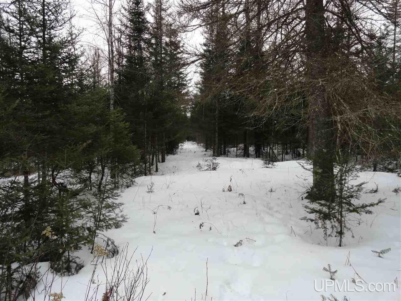 416 (23rd Road Gladstone, MI 49837 - Photo 23 of 36