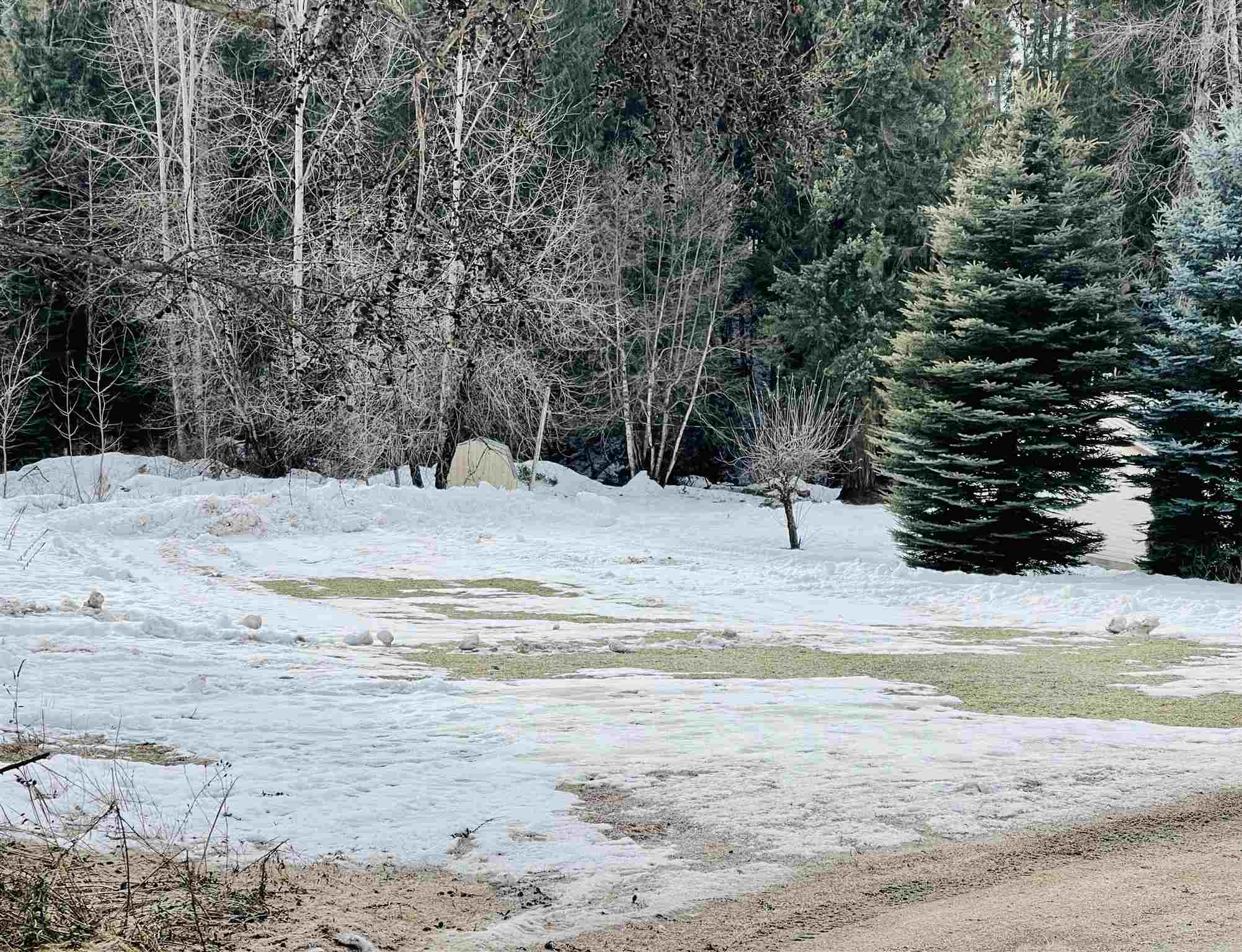 3619 Waitts Lake Road Valley, WA 99181 - Photo 29 of 44 Gallery Image 29