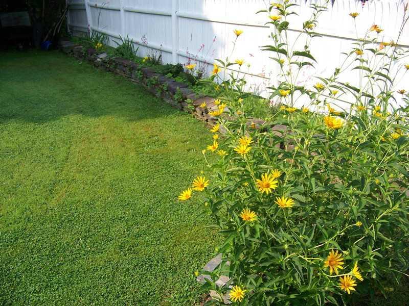 7 Winter Street Anson, ME 04958 - Photo 27 of 35 Yard/Garden.
