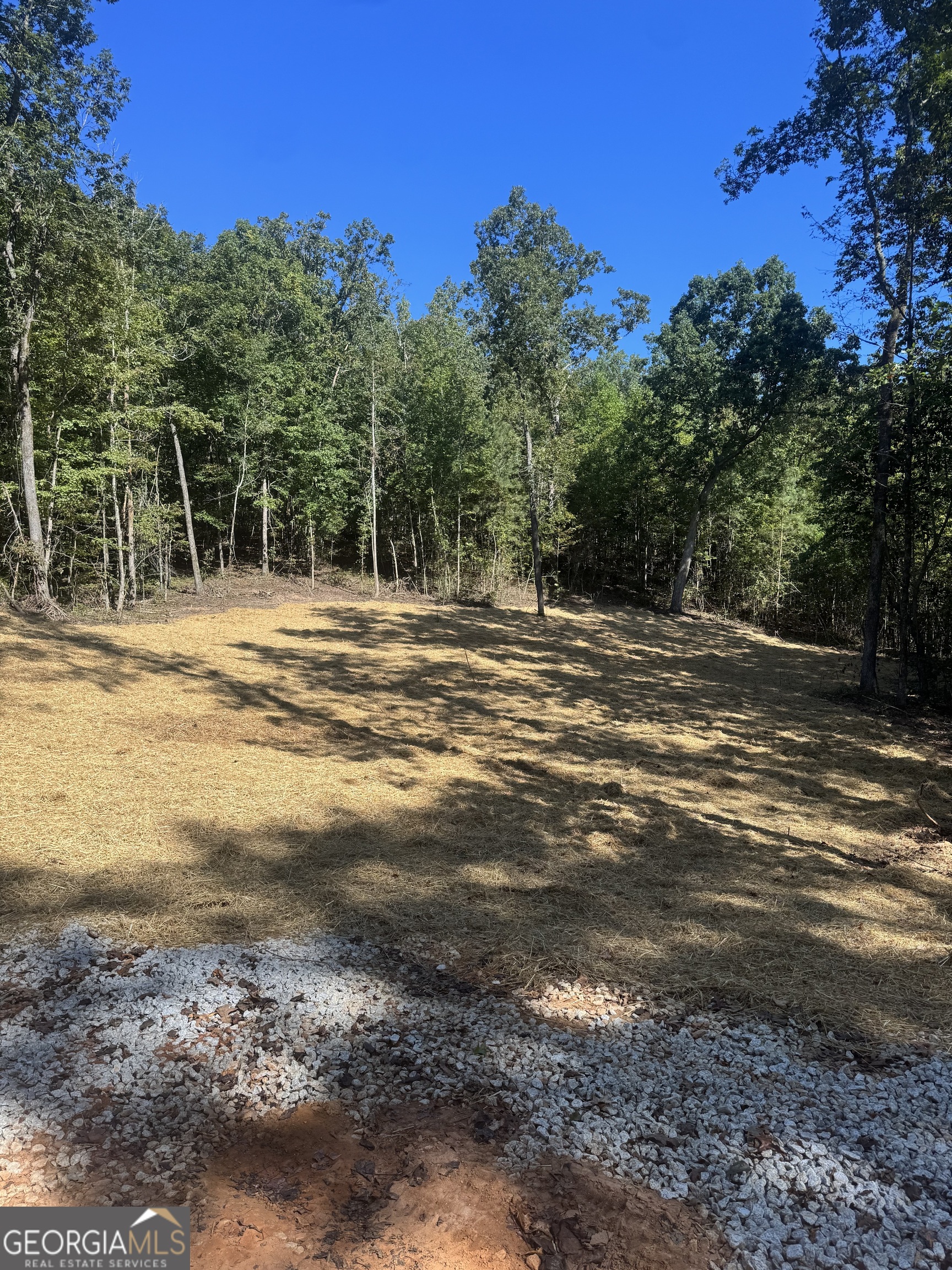 0 Hall Franklin, GA 30217 - Photo 3 of 9 a view of a yard with a house