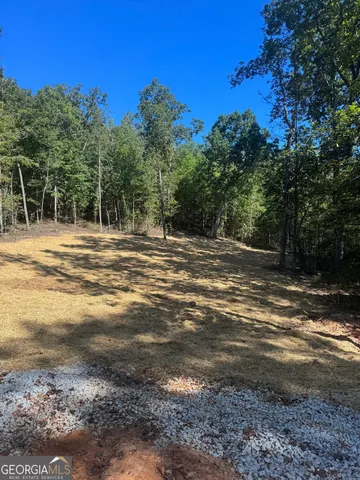 a view of outdoor space with trees all around