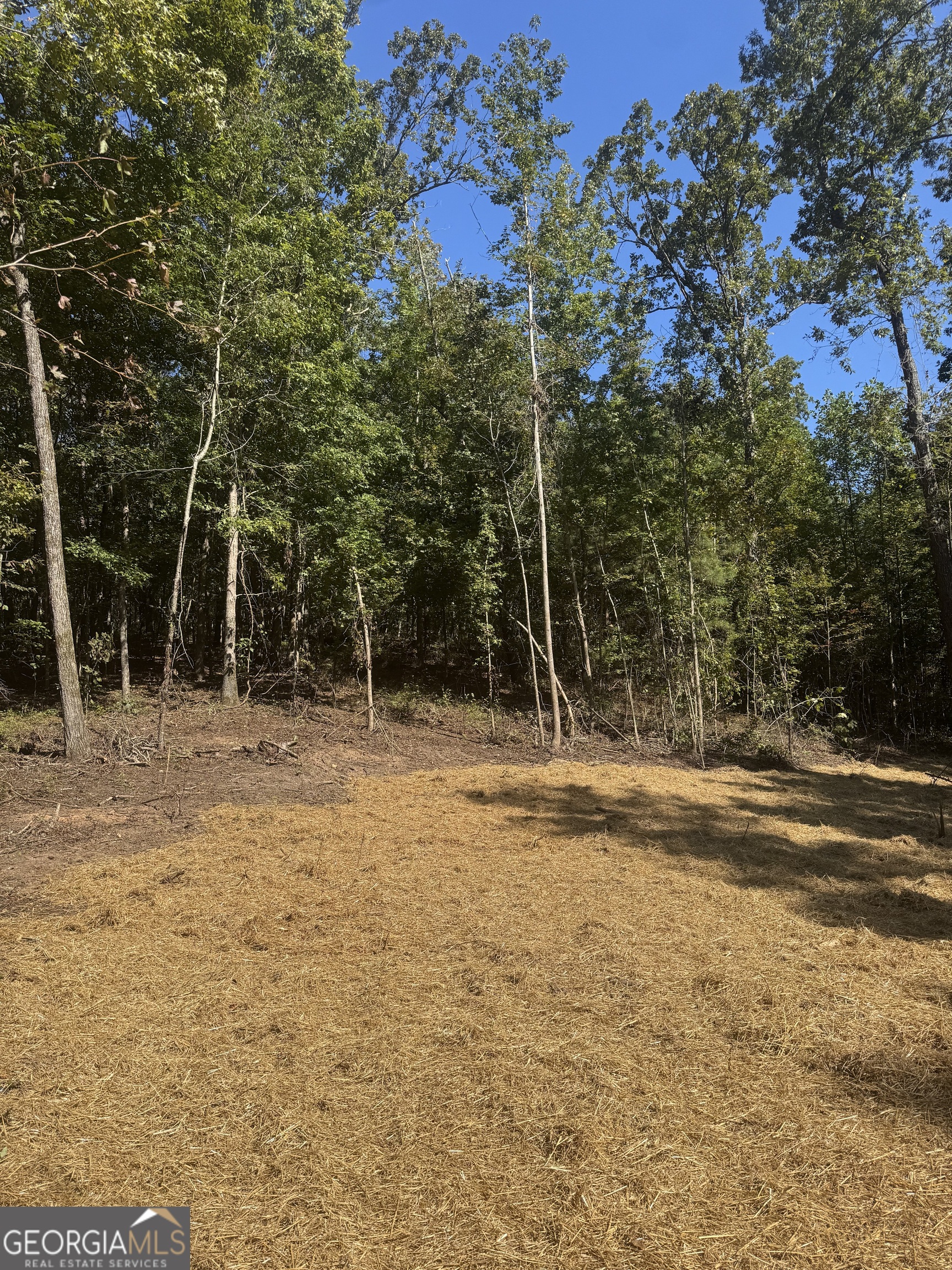 0 Hall Franklin, GA 30217 - Photo 7 of 9 a view of a house with a yard