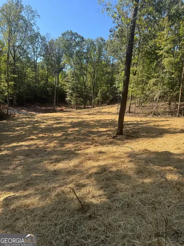 a view of a yard with a house