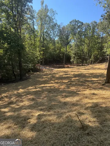 a view of a green field with trees in the background