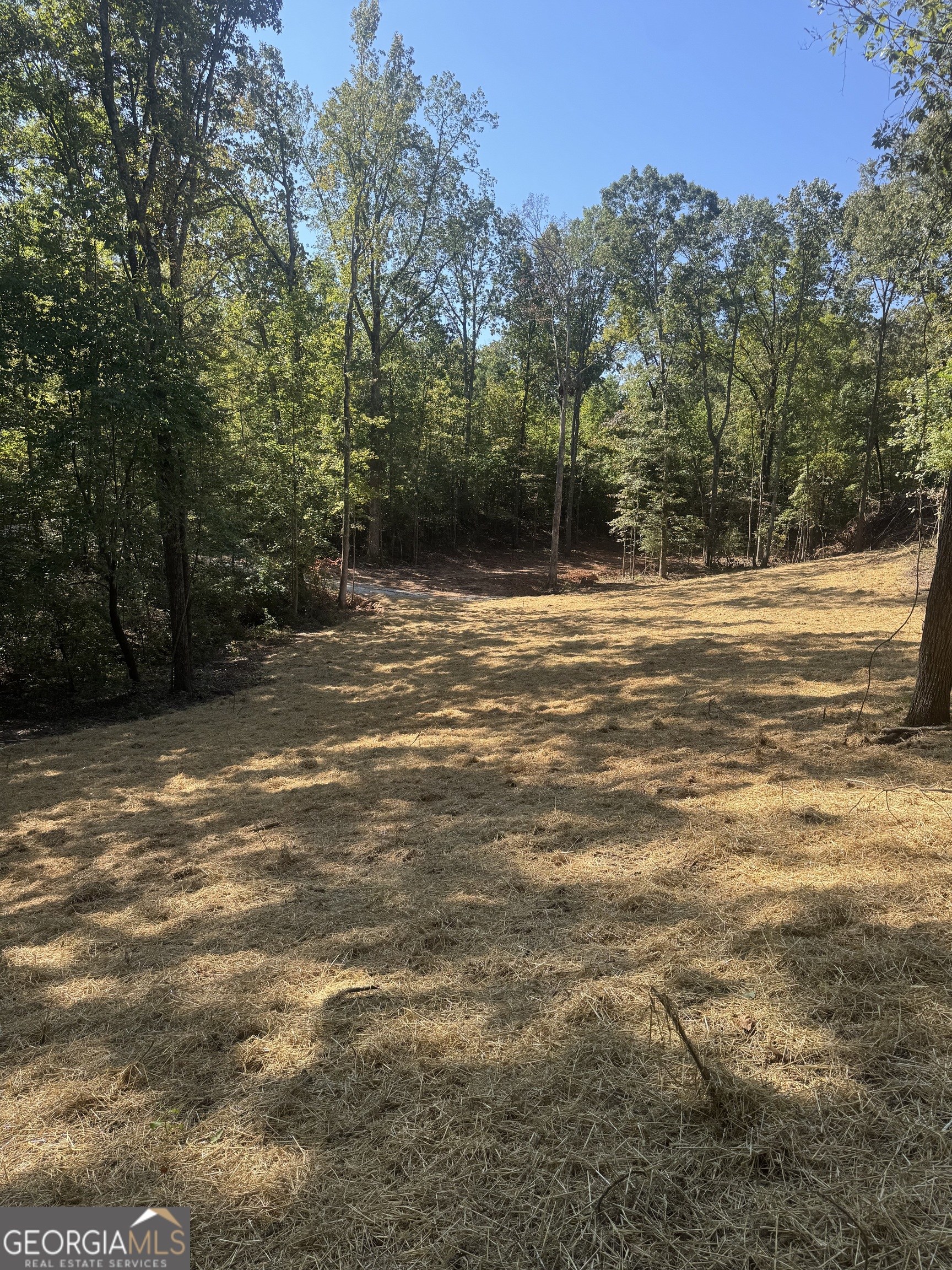 0 Hall Franklin, GA 30217 - Photo 9 of 9 a view of a green field with trees in the background