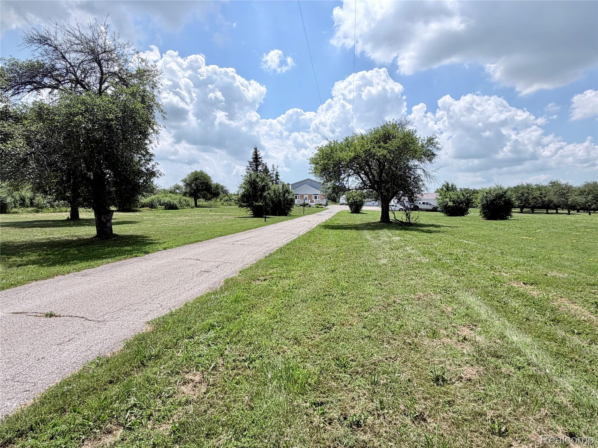 10865 Norman Road Yale, MI 48097 - Photo 22 of 23 Paved driveway extending through a spacious lawn, bordered by mature trees and manicured shrubbery