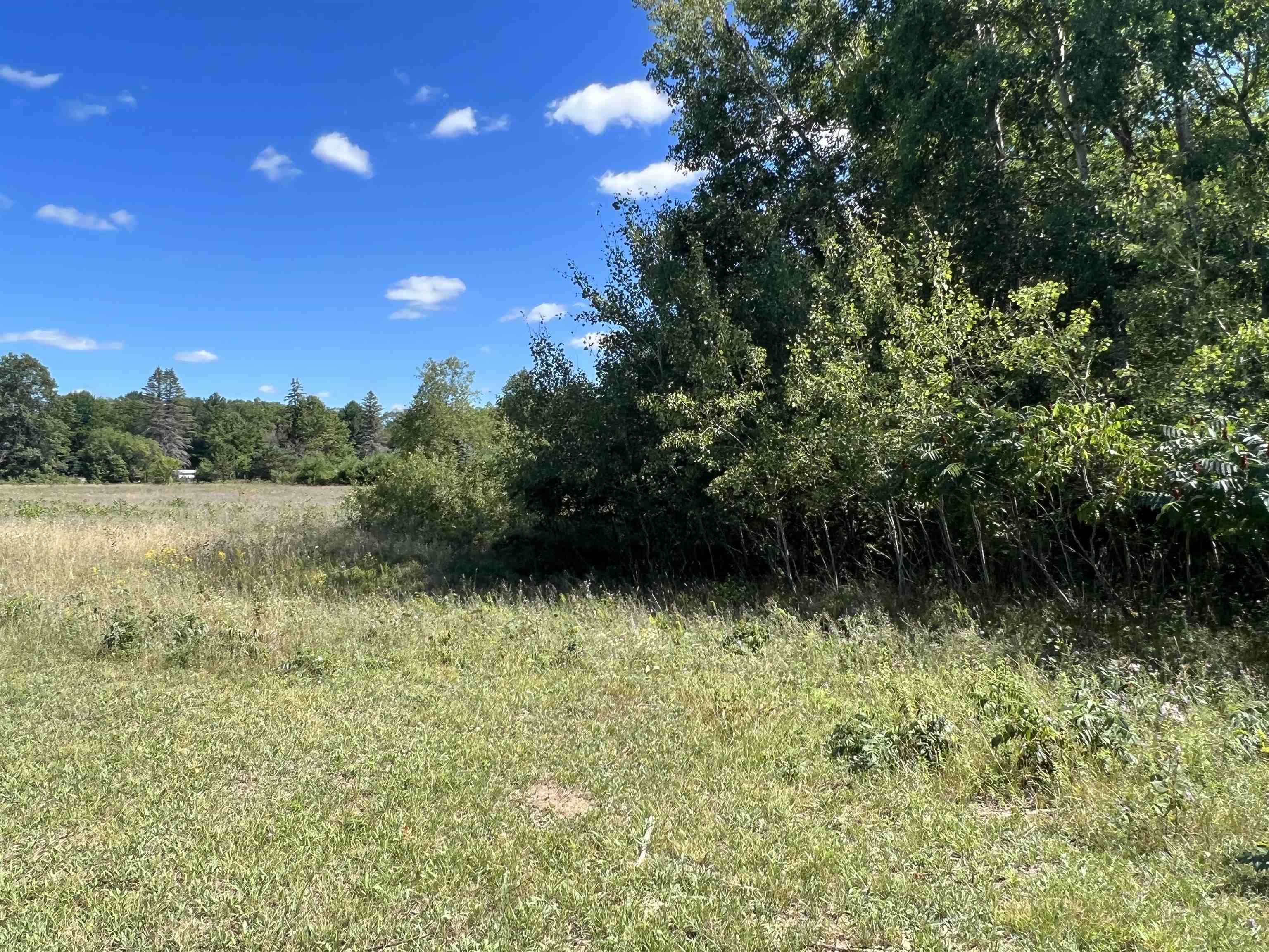 15-acres Meredith Grade Road Gladwin, MI 48624 - Photo 42 of 50