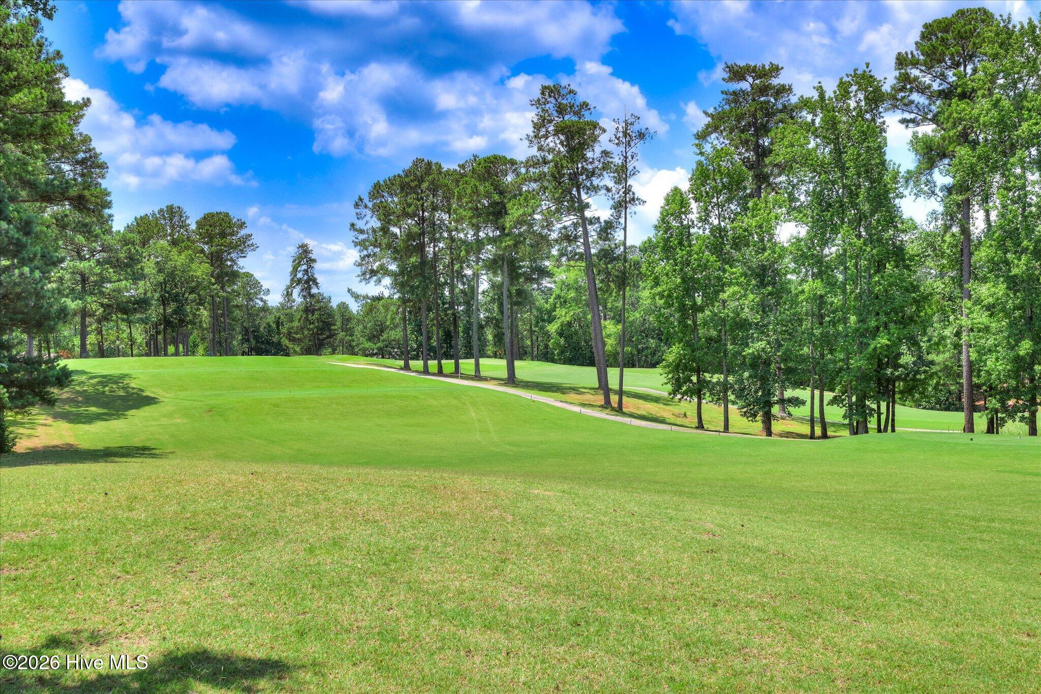 313 Oreda Place McCormick, SC 29835 - Photo 45 of 51