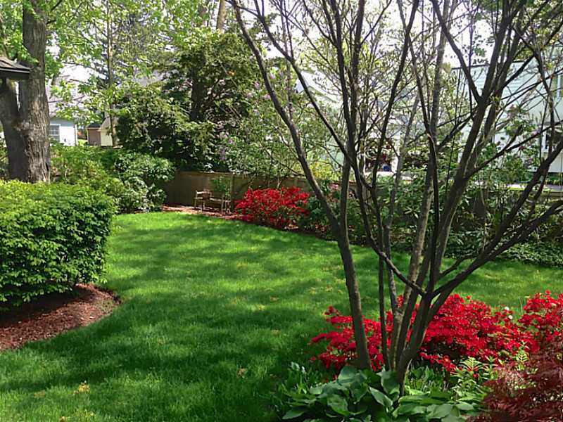 19 Terrace Avenue Riverside, CT 06878 - Photo 24 of 25 a view of a backyard of the house