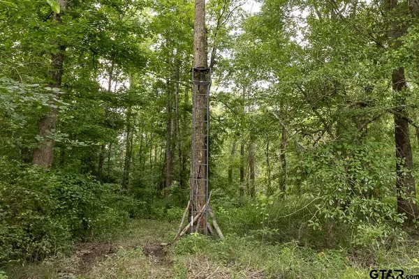 $750,000 | 1656 VZ County Road 2918, Eustace, TX 75124