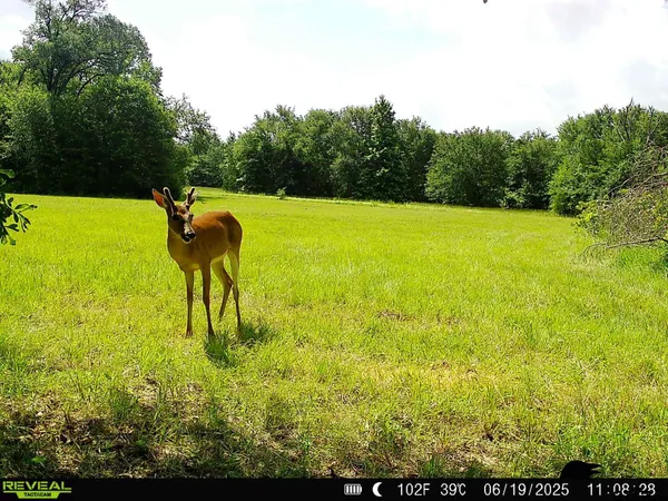 $750,000 | 1656 VZ County Road 2918, Eustace, TX 75124