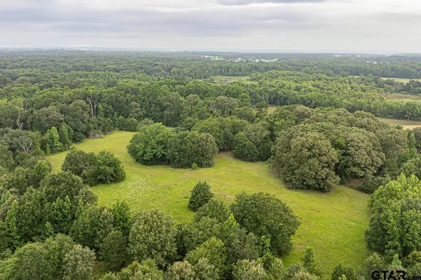 an aerial view of residential houses with outdoor space and trees