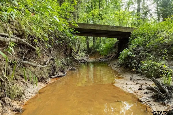 a plant that is in a garden