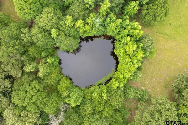 an aerial view of residential houses with outdoor space and trees