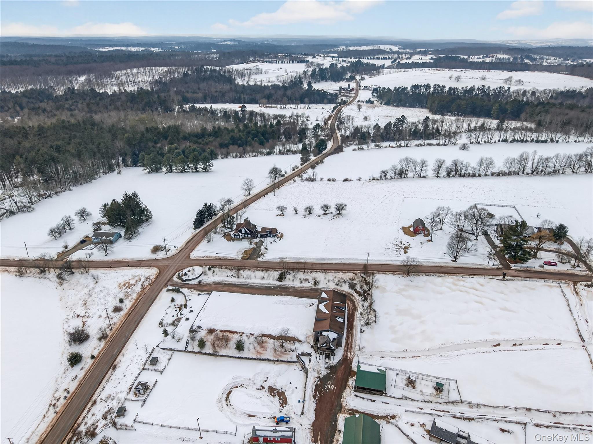 282 West Shore Road Bethel, NY 12783 - Photo 32 of 32 Over view