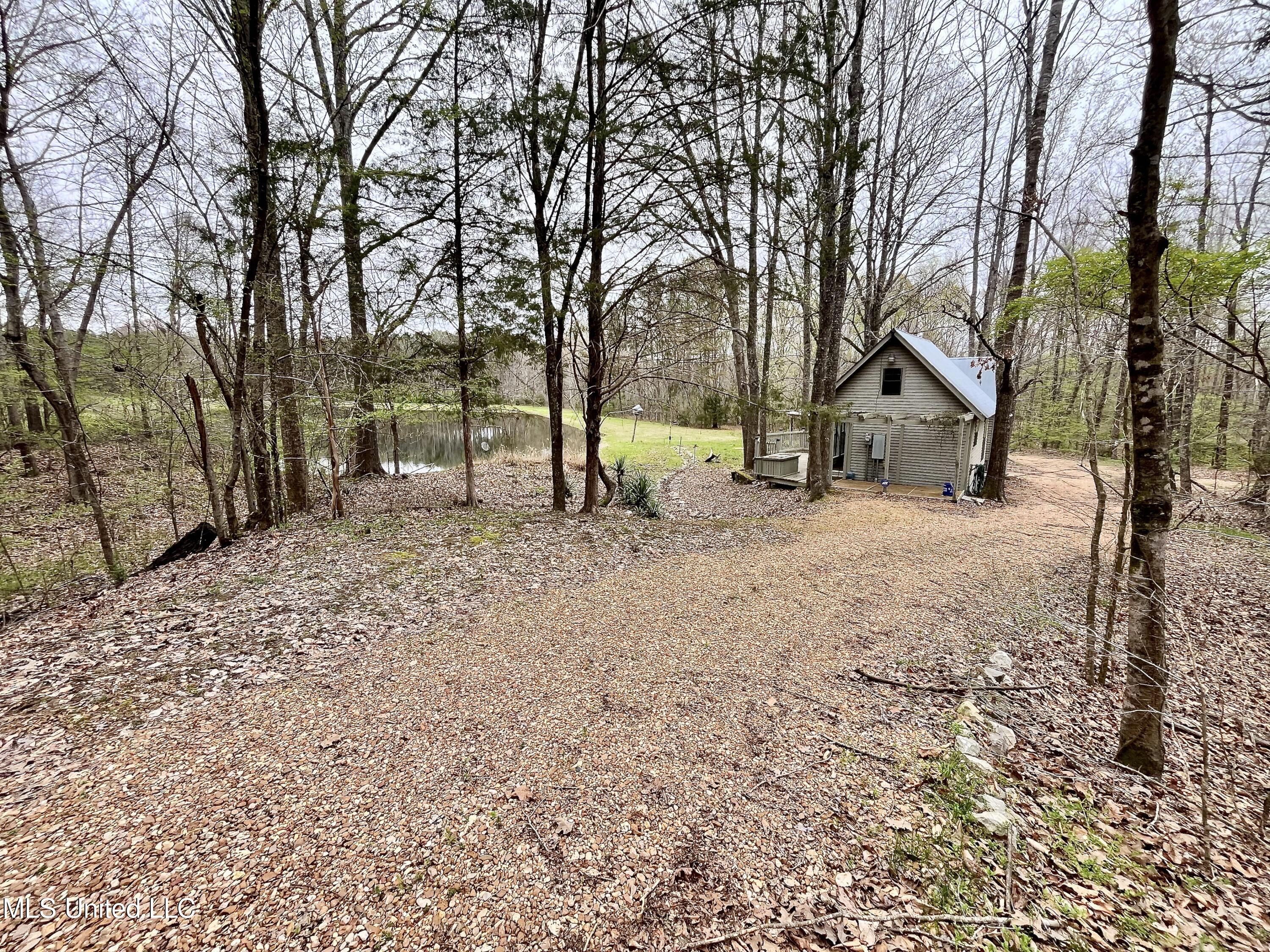 1972 Owens Wells Road Lexington, MS 39095 - Photo 12 of 32 IMG_3899