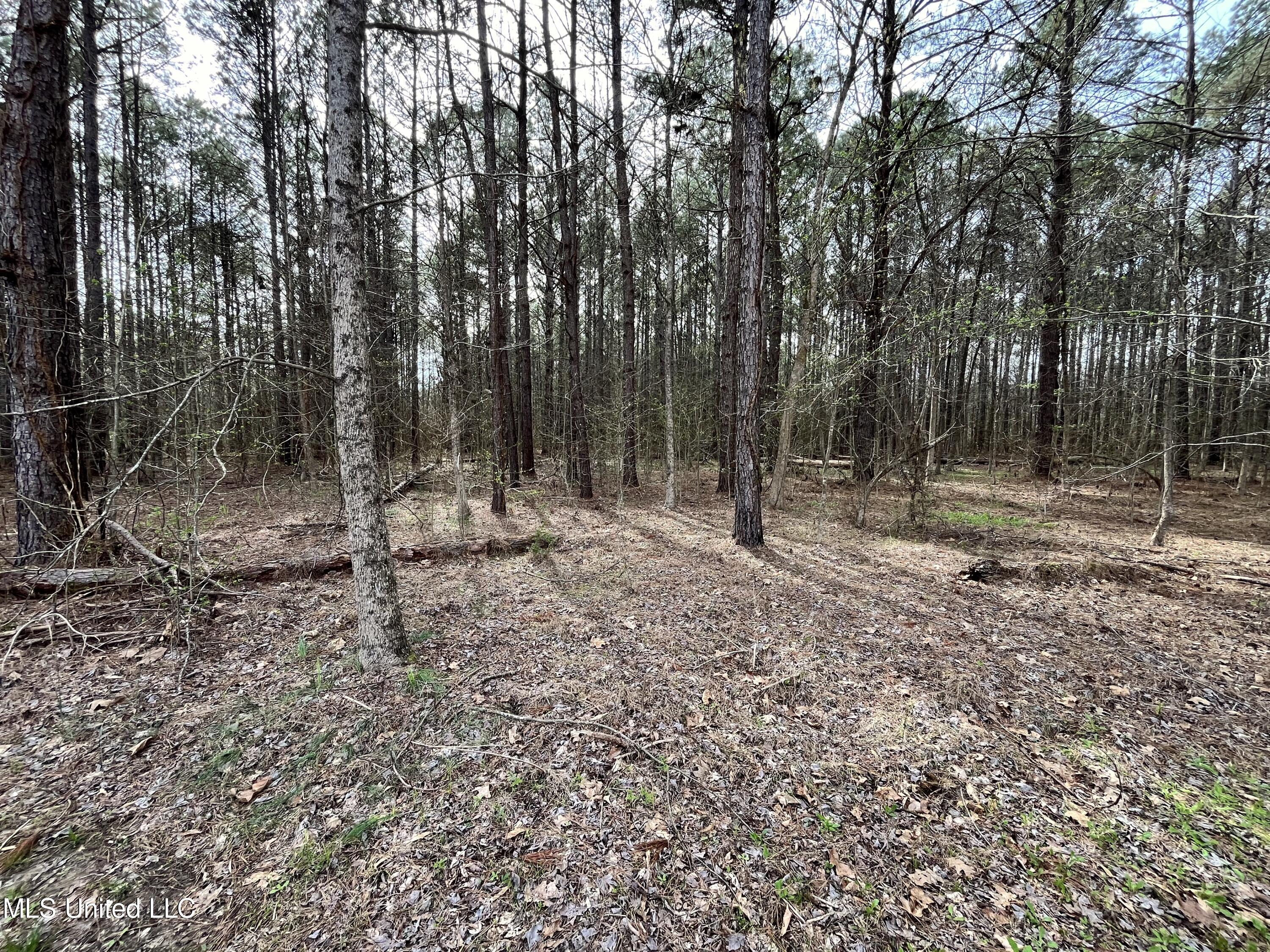 1972 Owens Wells Road Lexington, MS 39095 - Photo 31 of 32 IMG_4031