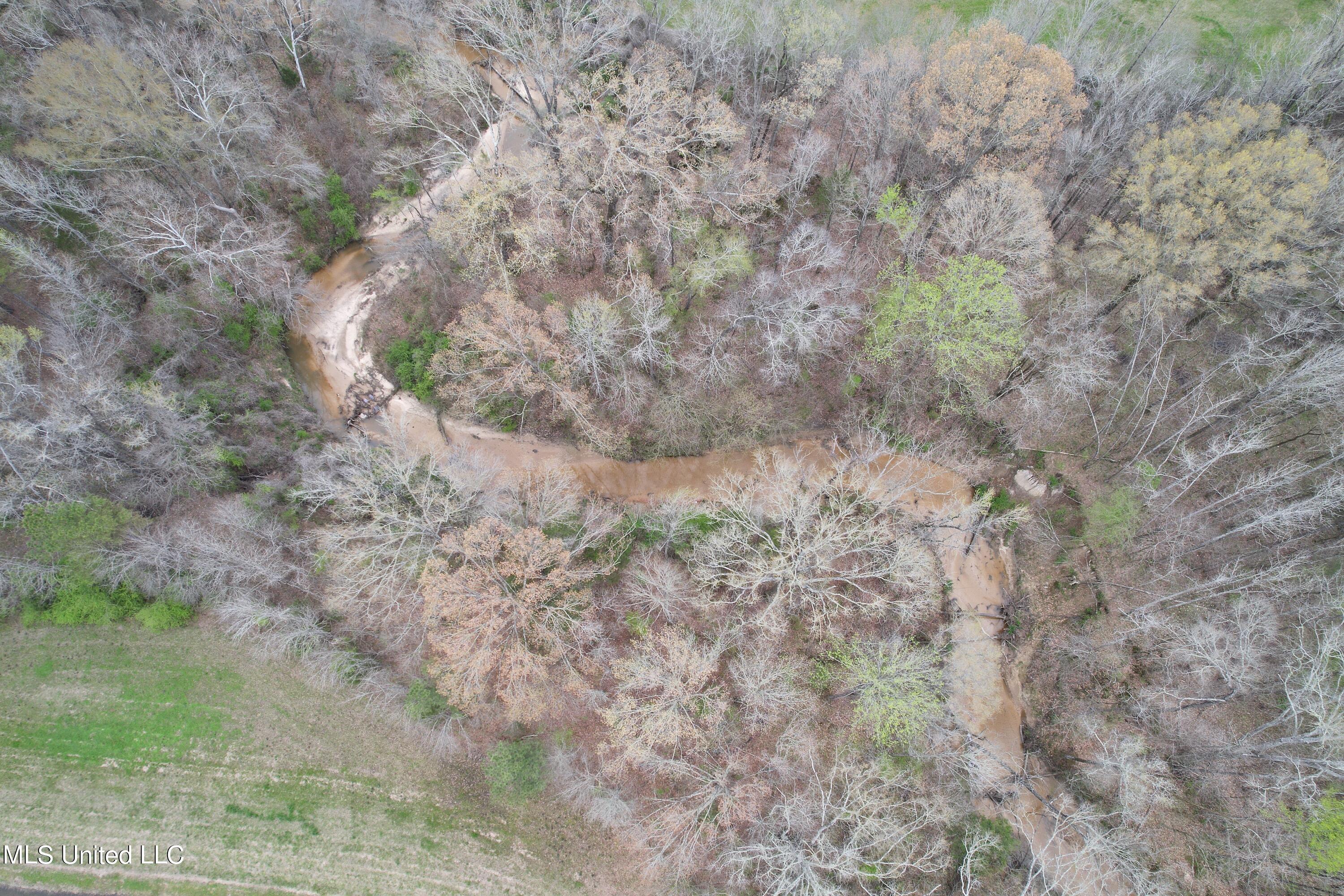 1972 Owens Wells Road Lexington, MS 39095 - Photo 4 of 32 DJI_0012