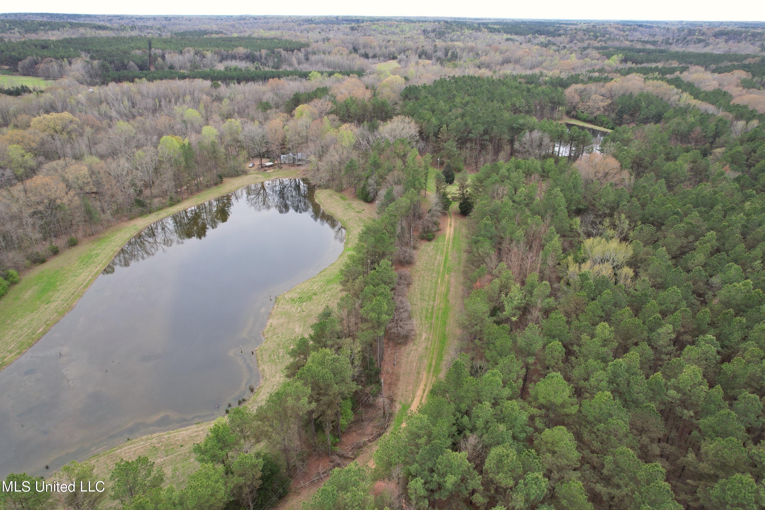 1972 Owens Wells Road Lexington, MS 39095 - Photo 5 of 32 DJI_0016