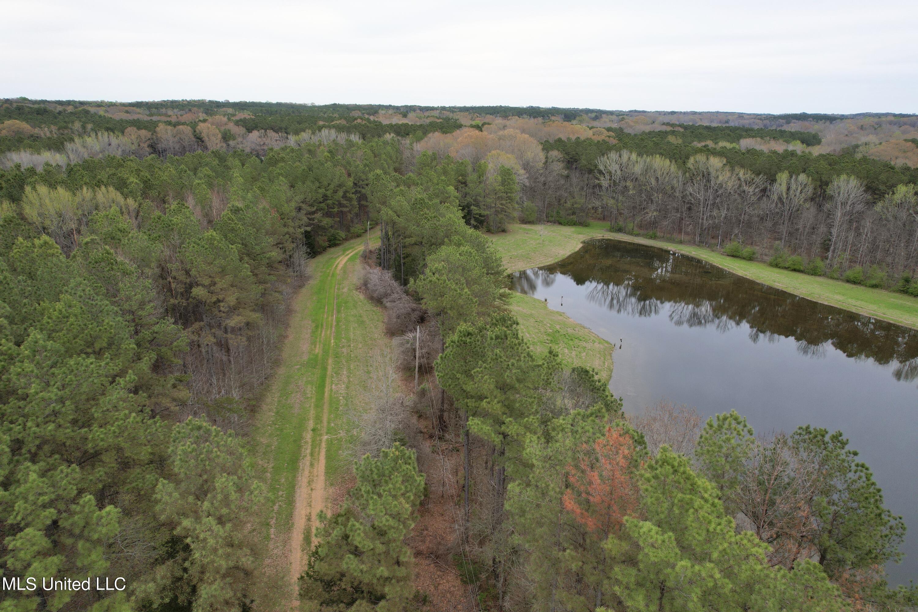 1972 Owens Wells Road Lexington, MS 39095 - Photo 6 of 32 DJI_0020