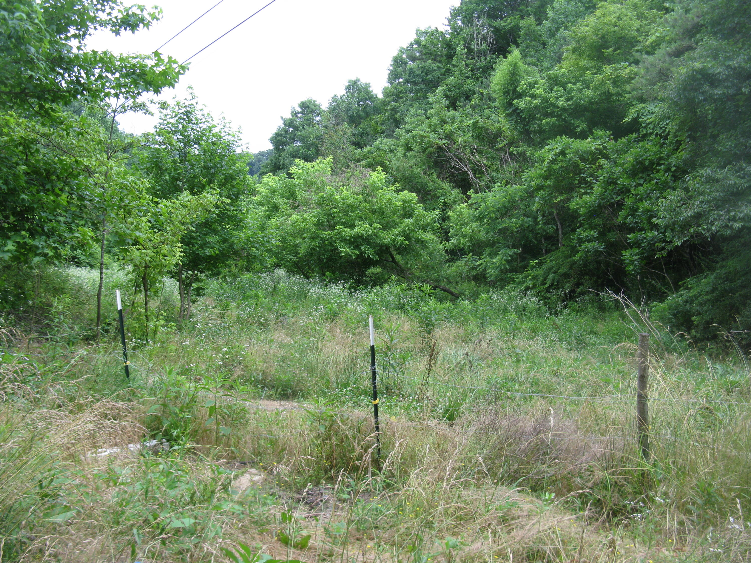 9999 Crane Creek Road Manchester, KY 40962 - Photo 17 of 18 dbfab666-a0bd-42a7-b76f-57b27ae93f97
