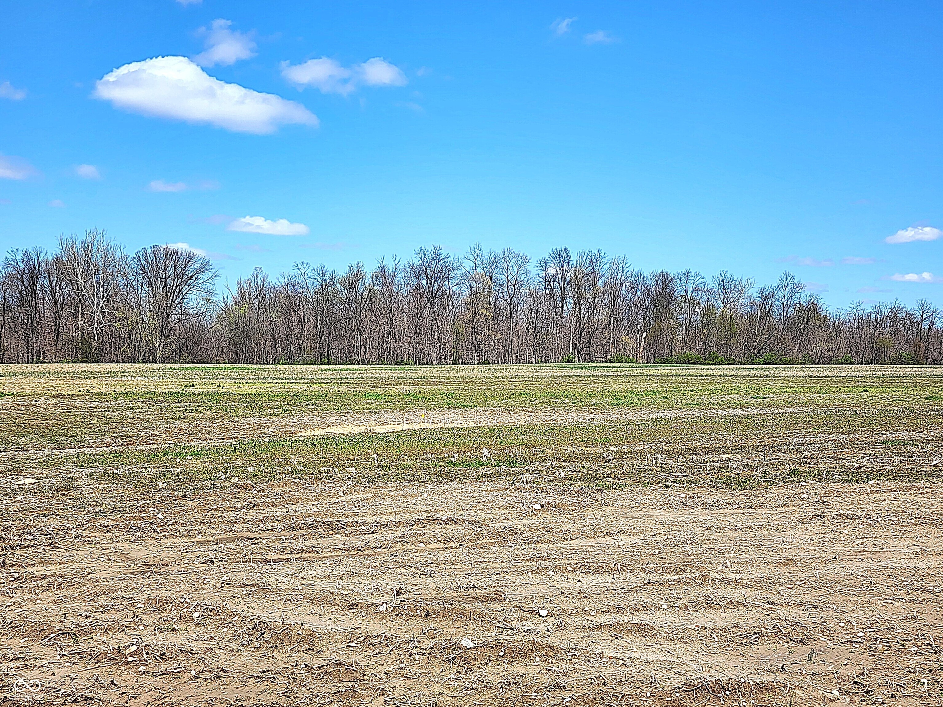 Lot 1 Legacy Estates Road Mooresville, IN 46158 - Photo 5 of 10