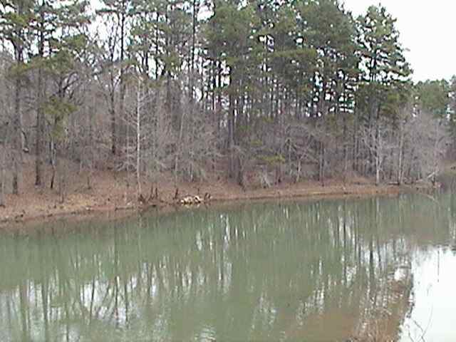 6 Aleja Point Martin, GA 30557 - Photo 3 of 5