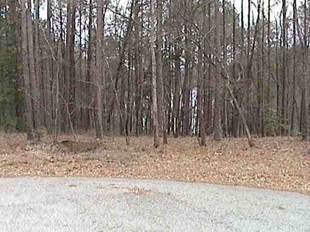 6 Aleja Point Martin, GA 30557 - Photo 4 of 5