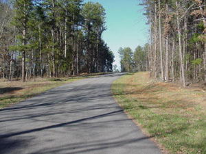 6 Aleja Point Martin, GA 30557 - Photo 5 of 5