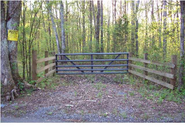 0 County Rd 36 Riceville, TN 37309 - Photo 1 of 7 Primary Photo