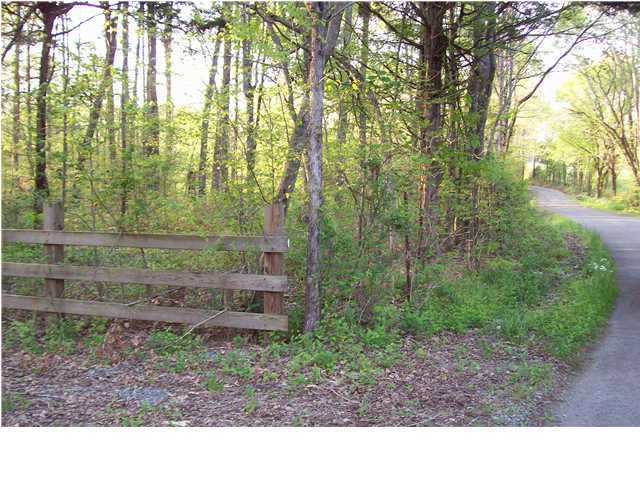 0 County Rd 36 Riceville, TN 37309 - Photo 3 of 7 Additional Photo