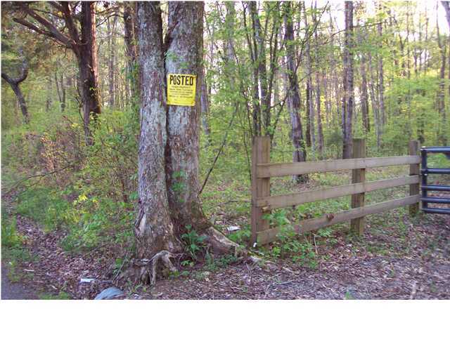 0 County Rd 36 Riceville, TN 37309 - Photo 4 of 7 Additional Photo