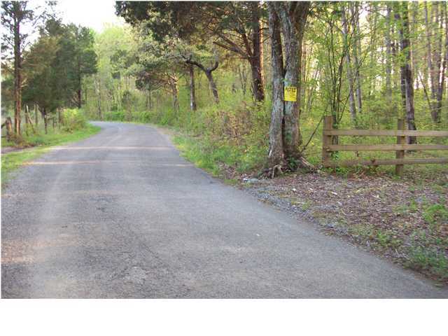0 County Rd 36 Riceville, TN 37309 - Photo 7 of 7 Additional Photo