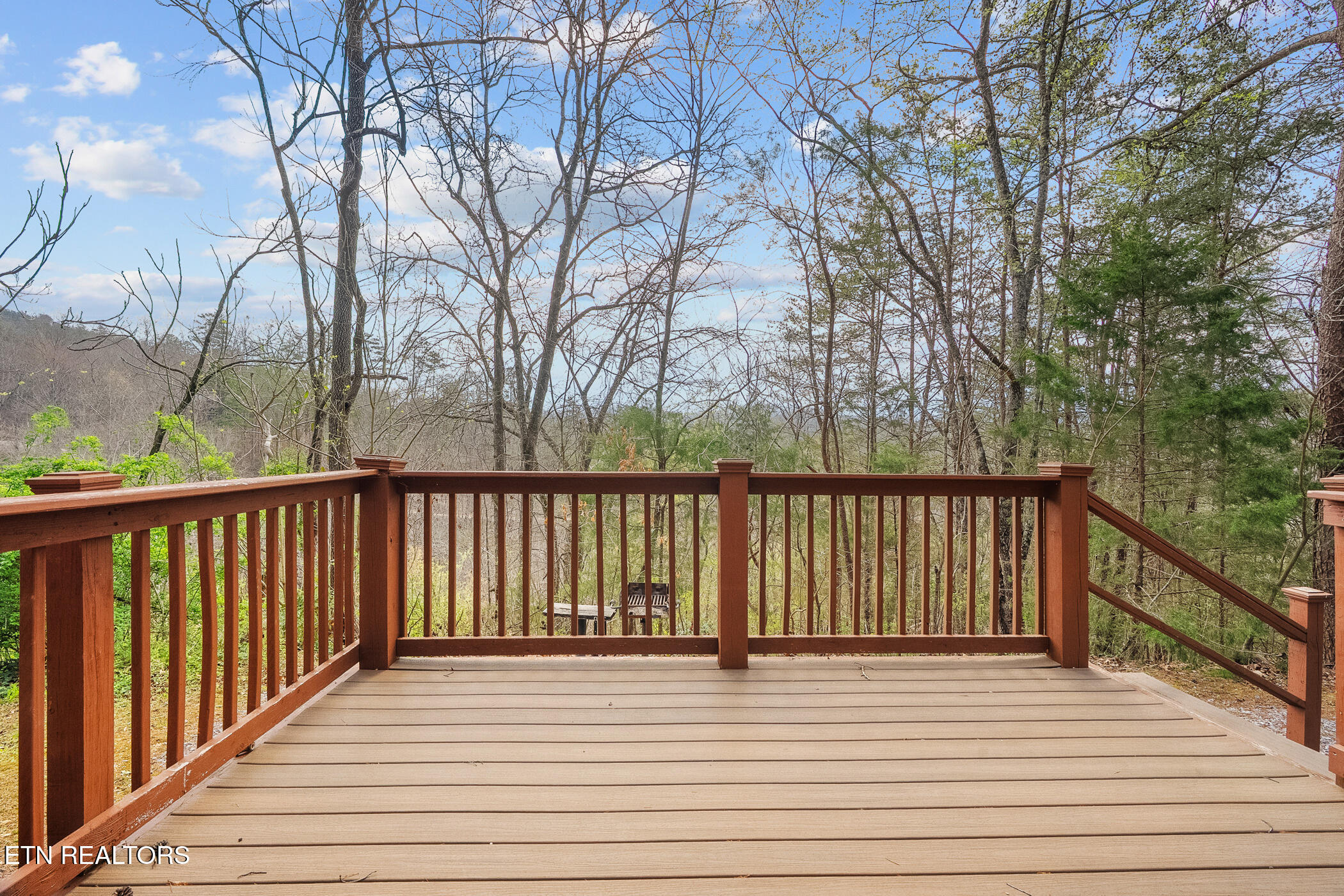 1736 Walker Trail Sevierville, TN 37876 - Photo 20 of 30 dsc04717